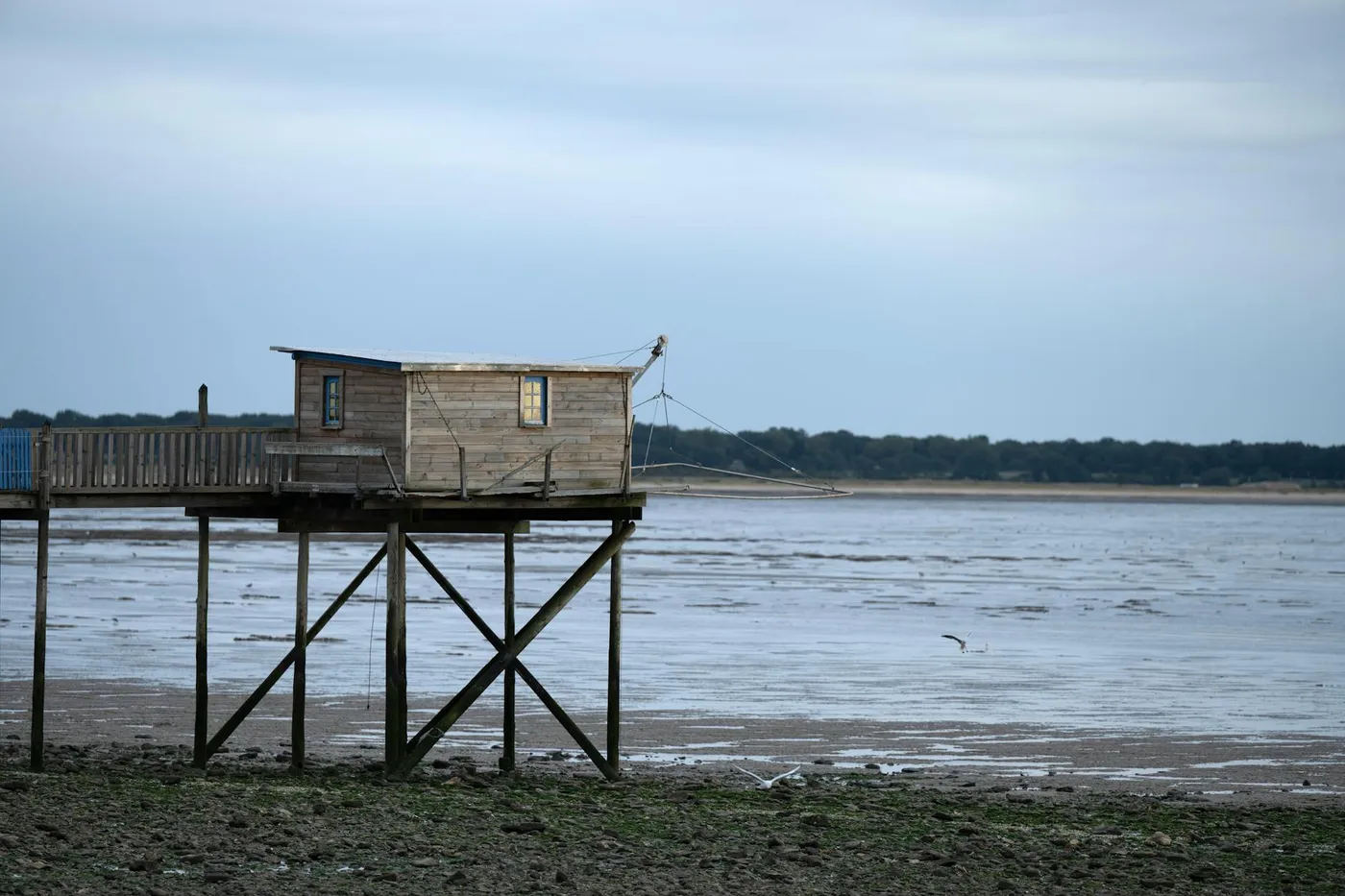 blogIndex.card_ada_title