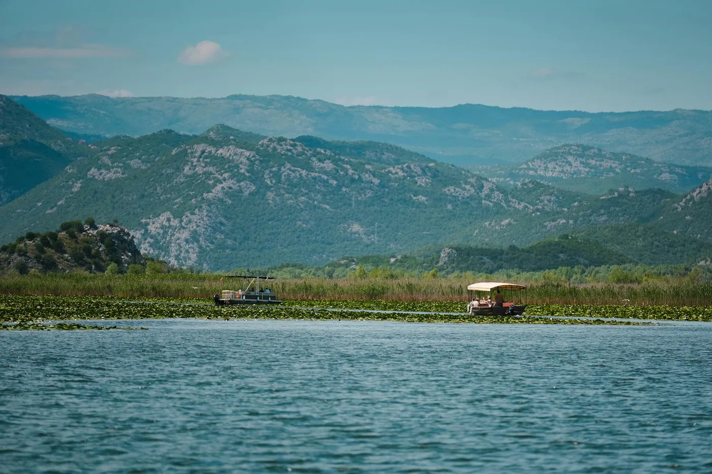 blogIndex.card_murici_title